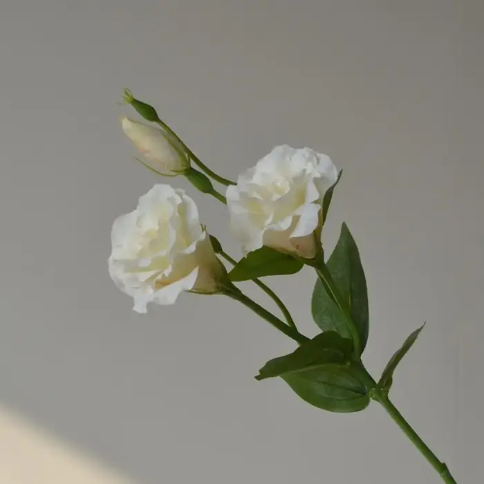 Fleurs artificielles Lisianthus au toucher réel