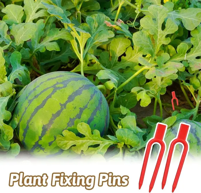 Épingles et clips de jardinage en plastique pour plantes grimpantes