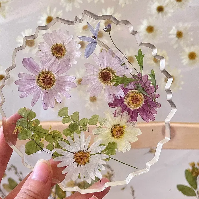 8 pièces, fleurs pressées séchées de marguerite | Marque-page de décoration de visage