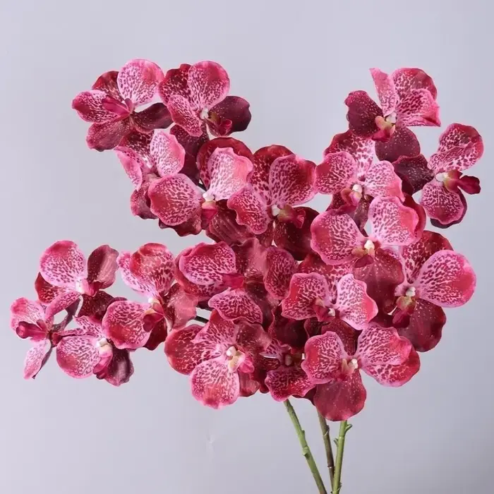 Orchidée Vanda Artificielle de 80 CM en Plastique