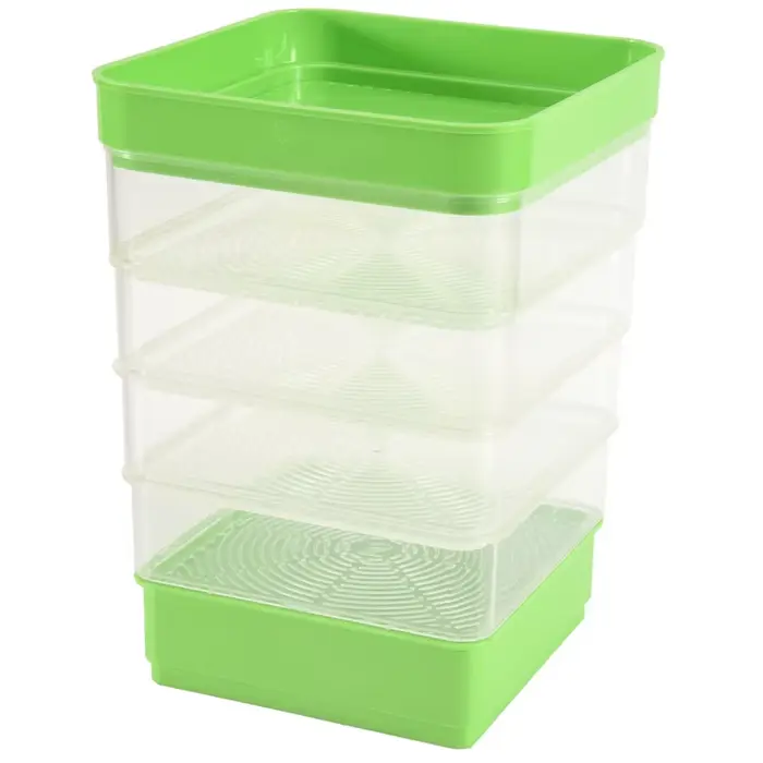 Kit de Germination de graines de haricots