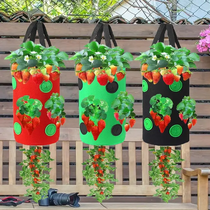 Sac de plantation suspendu pour fraises et tomates