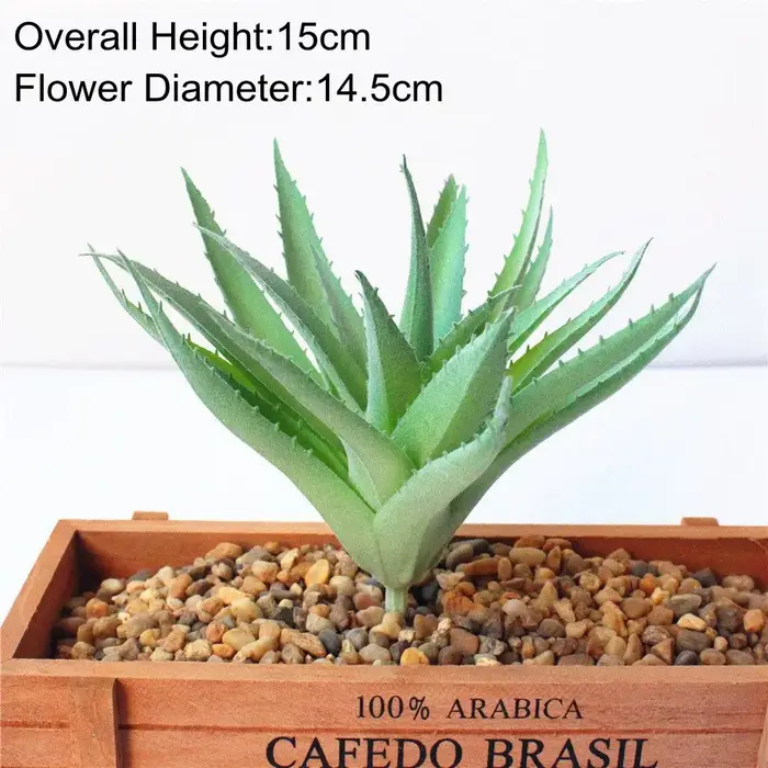 Plantes succulentes artificielles floquées vertes