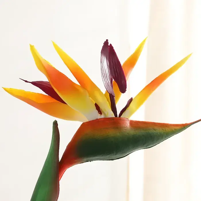 Oiseau du paradis en pu unique de haute qualité