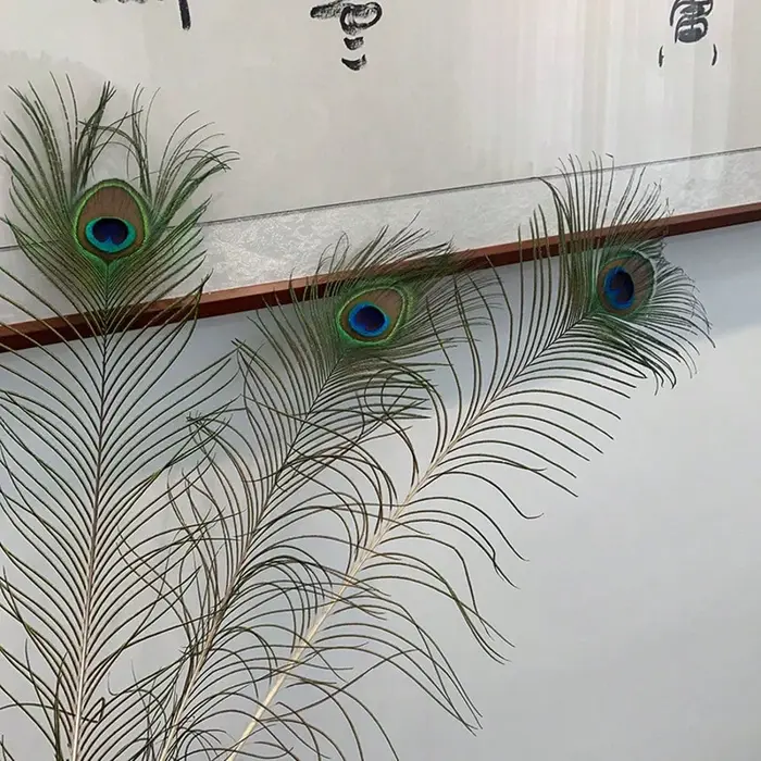 Plumes de paon naturelles 25-30cm