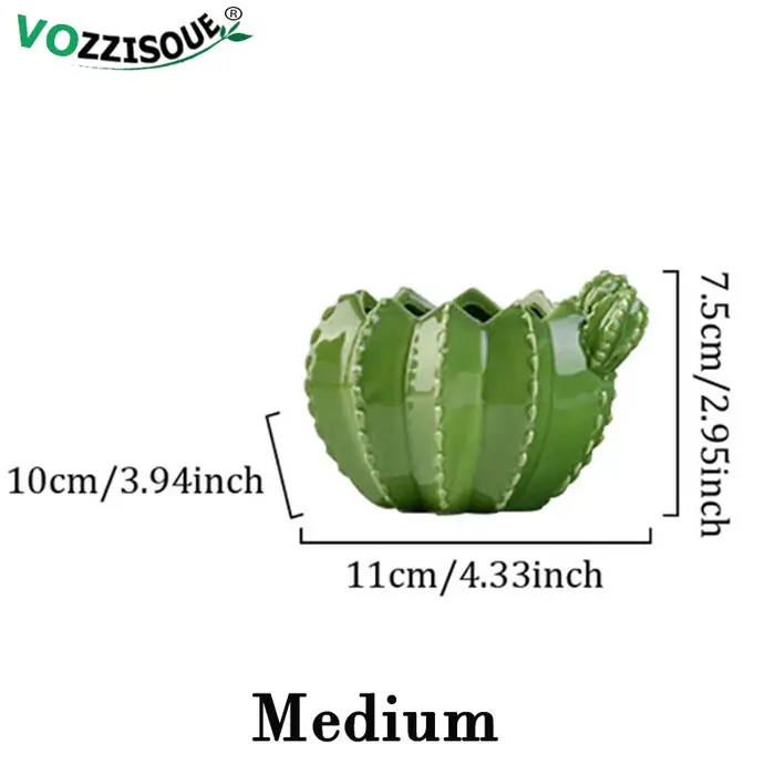 Pots de bonsaï Cactus en céramique créatifs