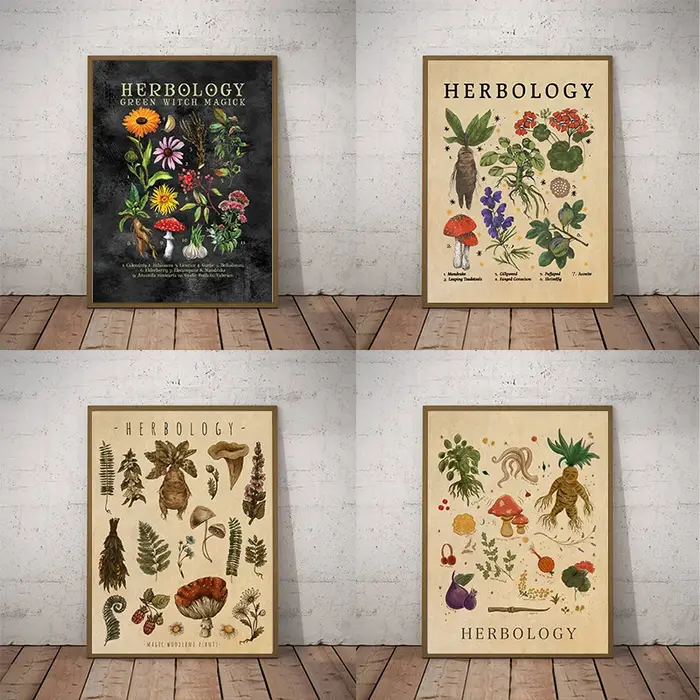 Impression de plantes de racine de Mandrake, affiche d'illustration, peinture sur toile, décor de cuisine et de sorcière, chambre plus lente, gestion de sorcellerie verte