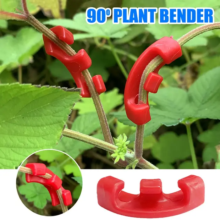 Cintreuses de plantes à 90 degrés, entraîneur de Manipulation de croissance, Tutors pour plantes, Cl