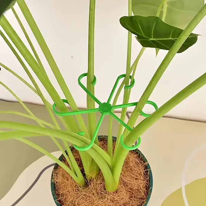 Clips de Support pour plantes grimpantes