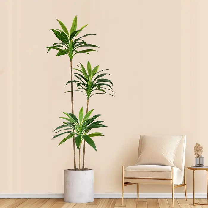 Plante Dracaena verte artificielle 50-225CM