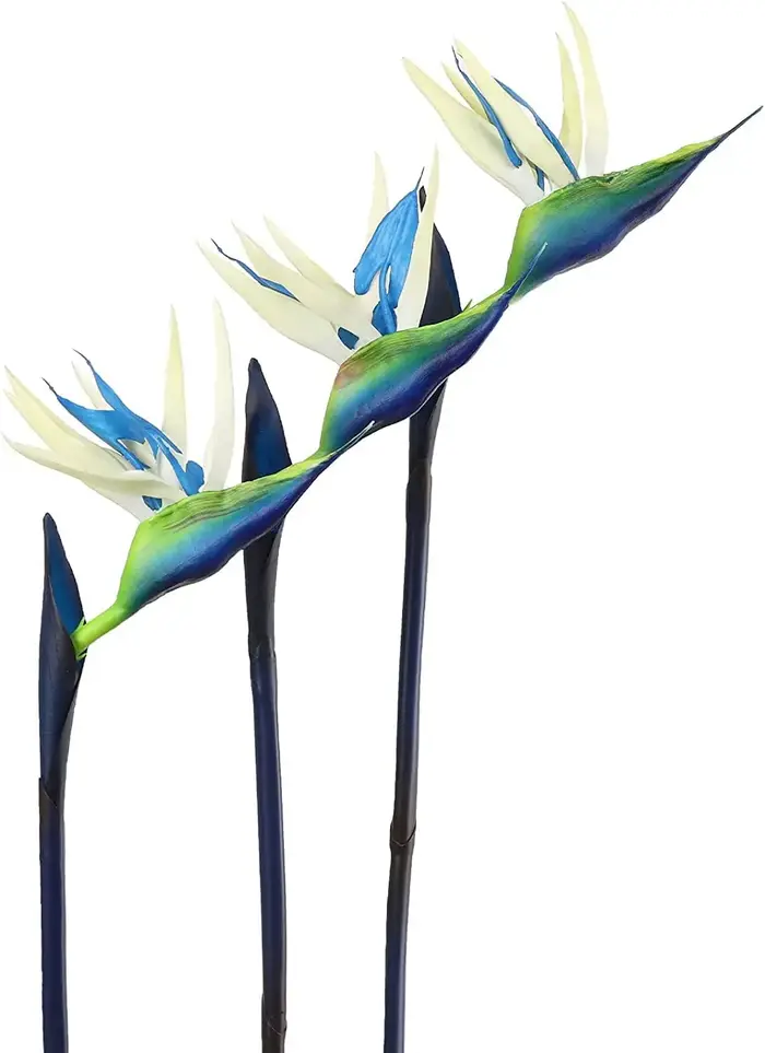 Fleurs d'oiseaux du ciel artificielles