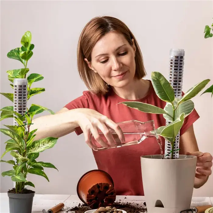 Colonne de support pour plantes grimpantes en mousse de sphagnum
