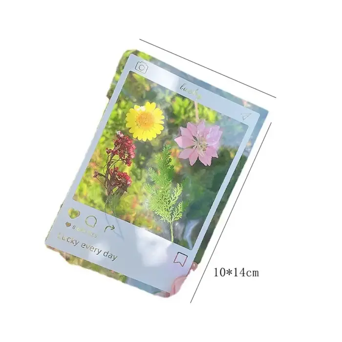 Bricolage matériaux bricolage fleurs séchées signets pressé fleur PET fleurs séchées autocollants à la main Transparent fleur Page signet enfants