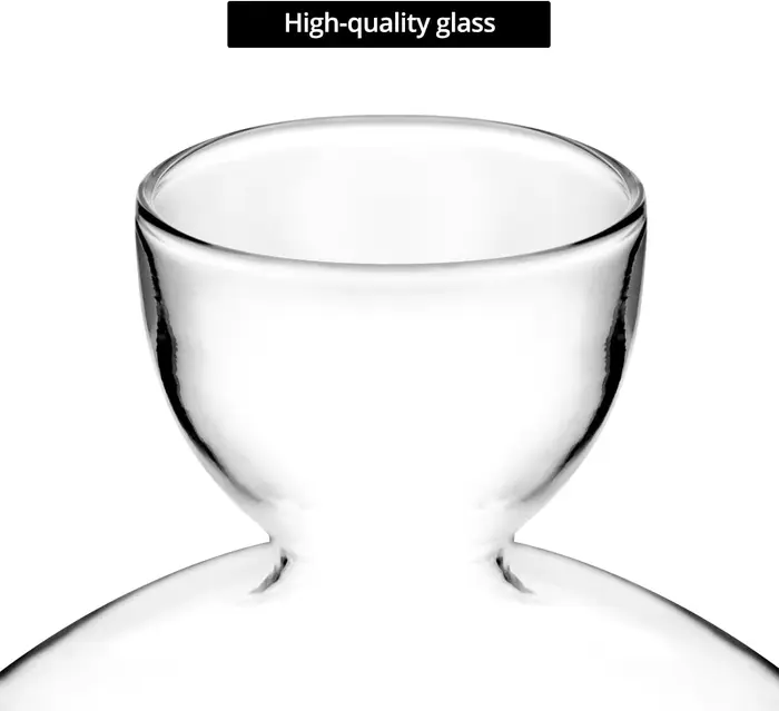 Vase en verre pour semis de graines d'avocat