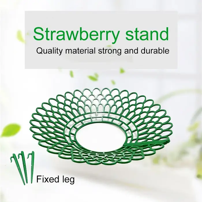 Supports de fraises, 5 pièces