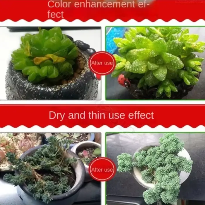 Solution hydroponique pour plantes nutritives
