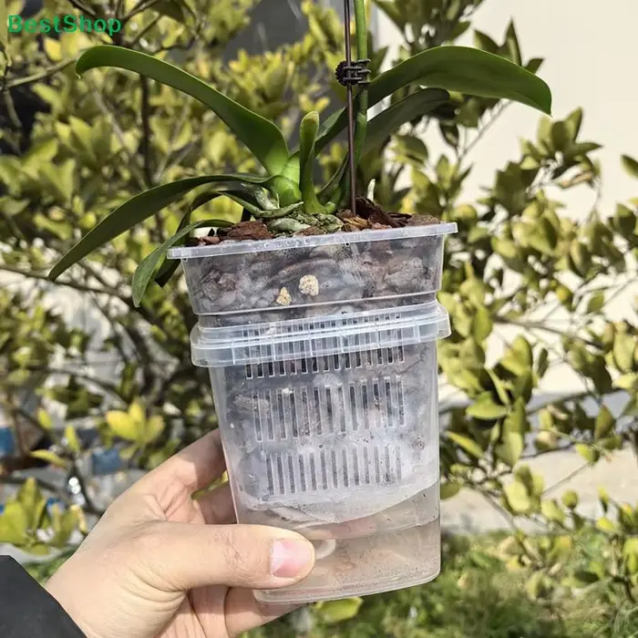 ☽ Pot à orchidées transparent avec drainage
