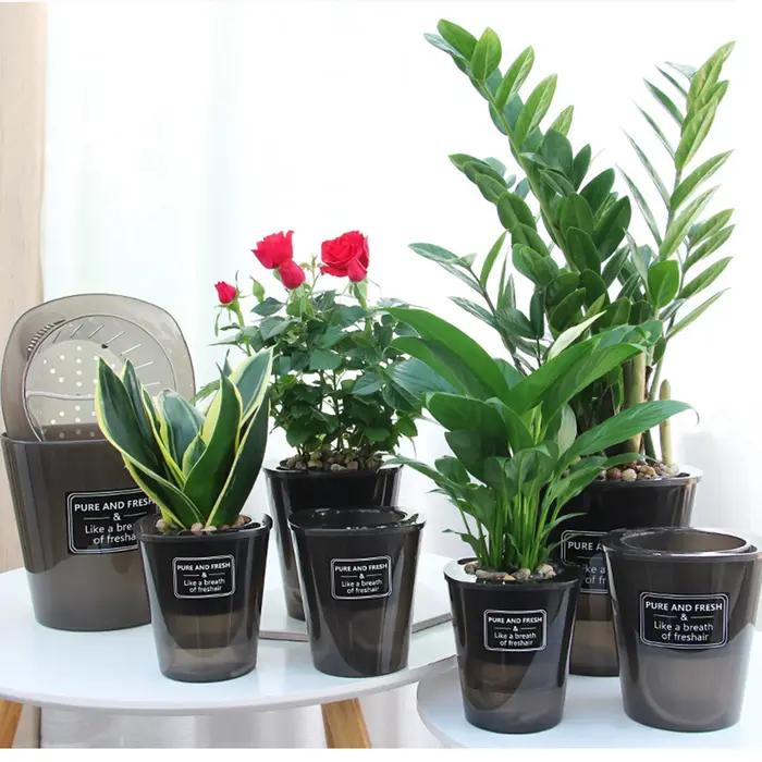 Pot de Fleur Hydroponique Créatif