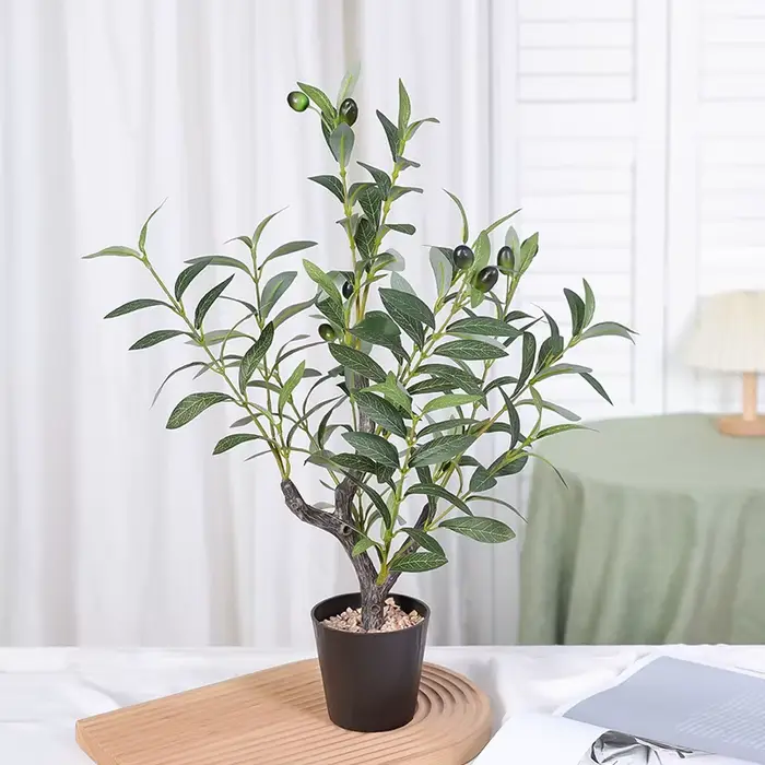 1 arbre de simulation de plante