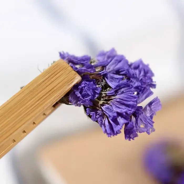Fleurs de Myosotis séchées naturelles de haute qualité
