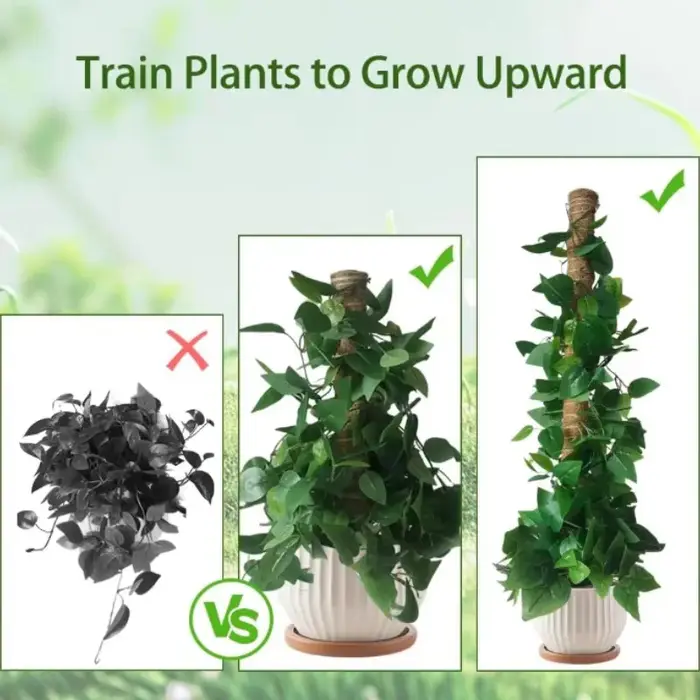 Supports pliables pour plantes grimpantes
