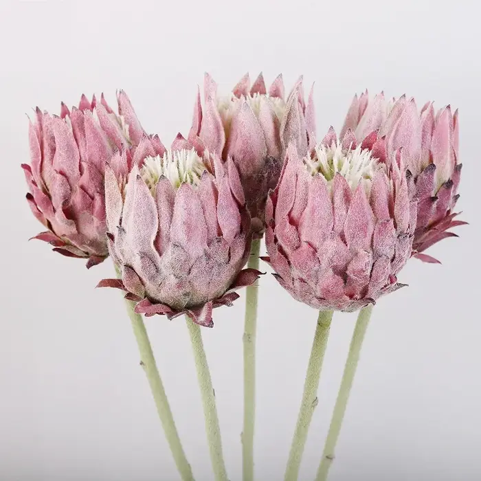 Artificielle haut de gamme unique nordique flocage artichaut fleur décoration de la maison accessoires de photographie