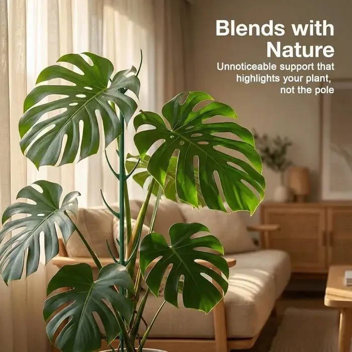 Comprend 10 poteaux en mousse de Monstera et 2 rouleaux