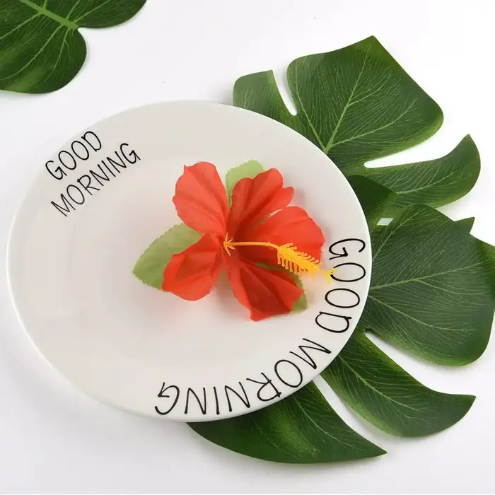 Feuilles de palmier Monstera tropicales