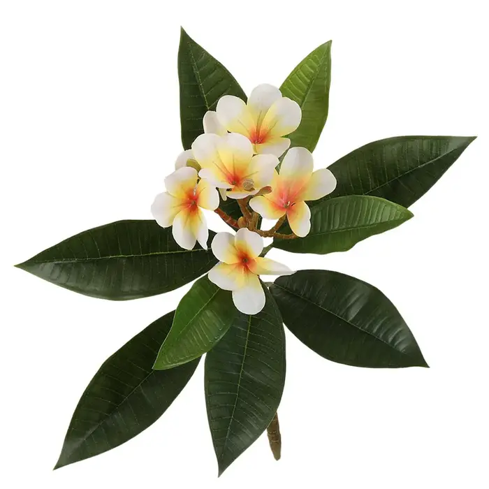 Fleurs de Plumeria artificielles au toucher réel