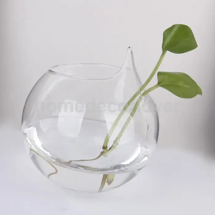 Vase en verre transparent pour plantes à fleurs
