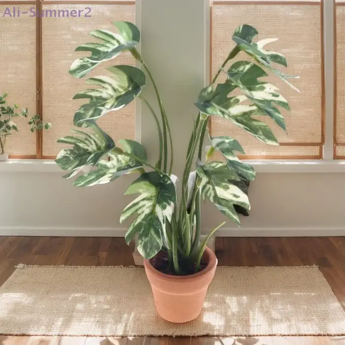 Plante Monstera Miniature délicate pour maison de poupée 1/12