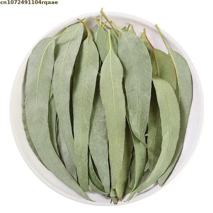 Feuilles d'eucalyptus séchées naturelles