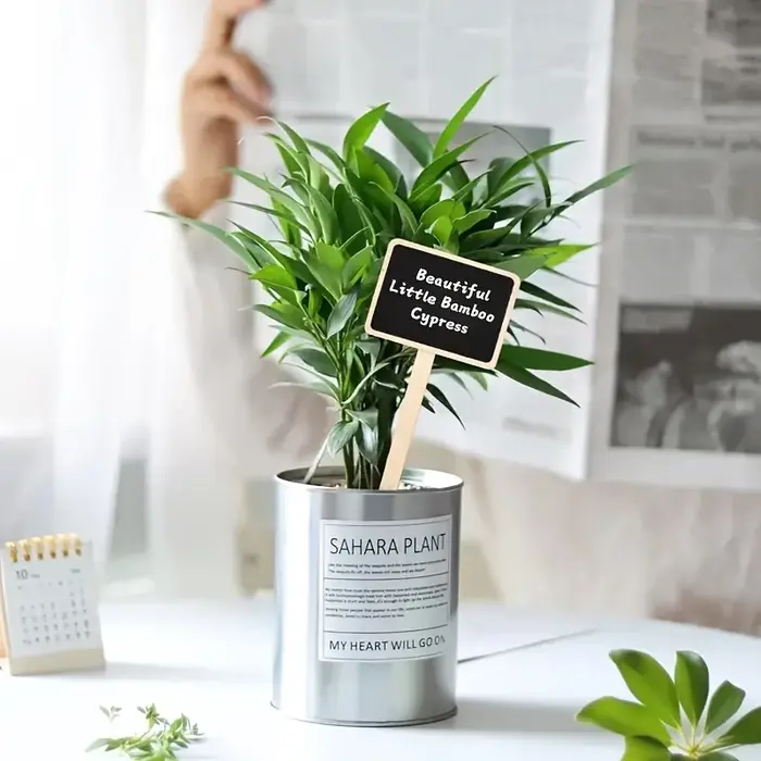 Étiquettes de plantes rustiques en bois, panneaux de jardin en forme de T, tableau noir, support au sol, 20 pièces