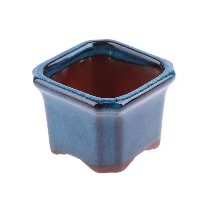 Pots de plantes en céramique