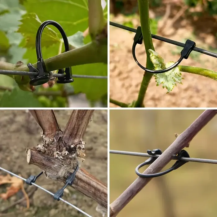 Clips de fixation et de maintien pour plantes grimpantes