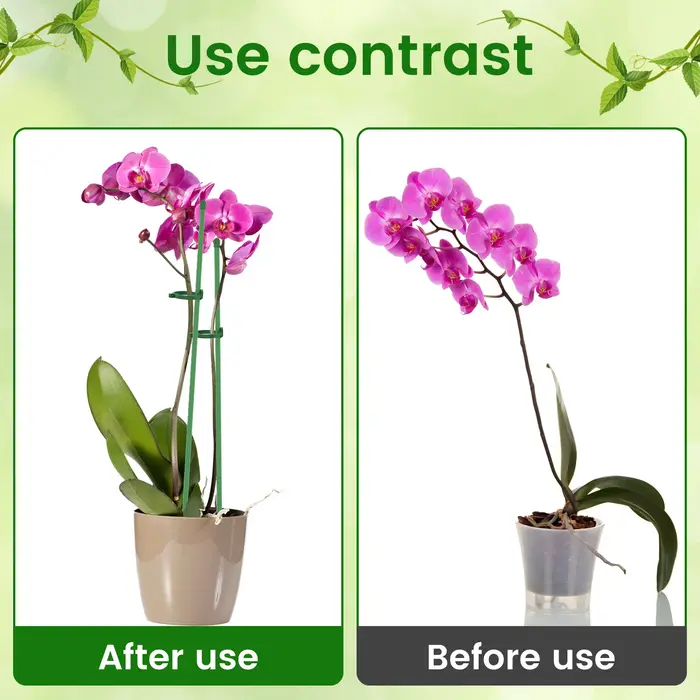 Piquets de Support pour plantes