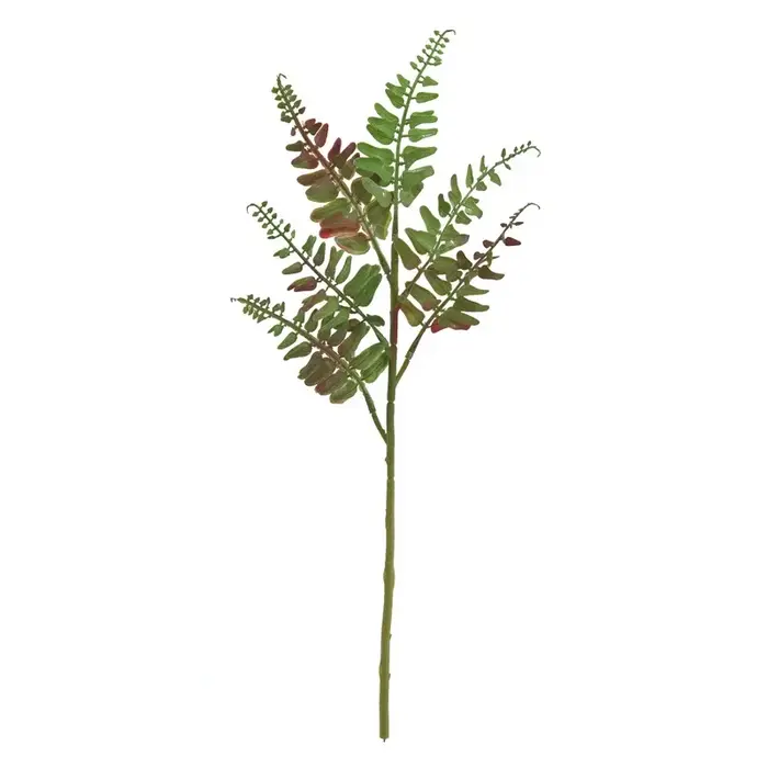 Feuilles de fougère persane de Simulation d'aloès vert, 10 pièces, plantes vertes en plastique, déco