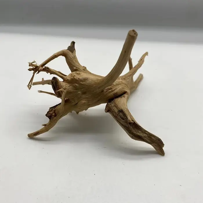 Tronc d'arbre naturel en bois flotté