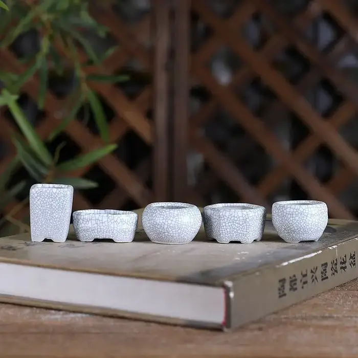8 pièces de mini-pots de fleurs en céramique