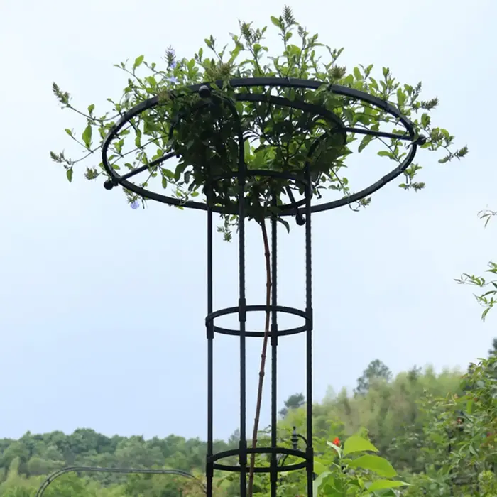 Treillis pour plantes grimpantes