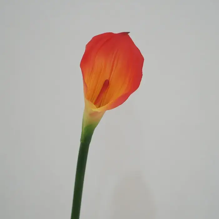 12 pièces Faux Latex Calla Lily fleurs artificielles Bouquet de mariage vraie touche Callas chambre maison décorative fête fleur accessoires