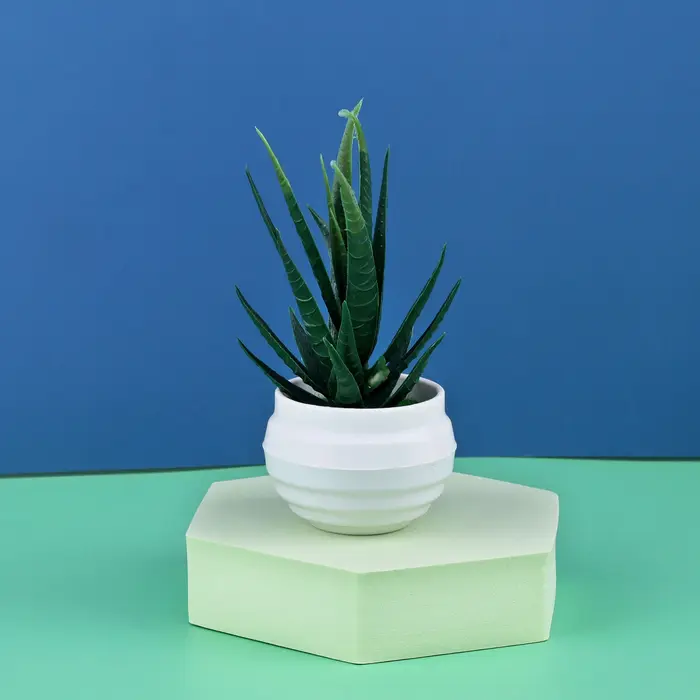 Artificielles Plantes d'Aloès Mini Plantes Forme Bonsaï