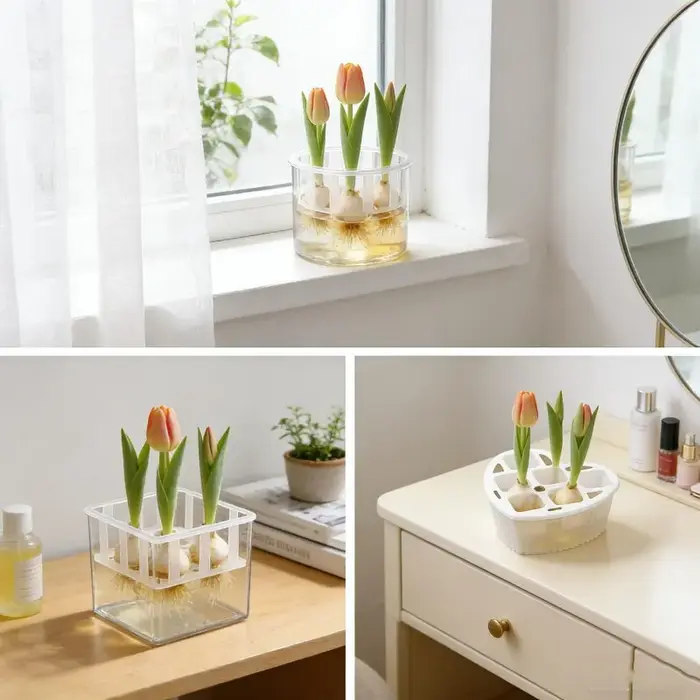 1/3 pots hydroponiques pour bulbes de tulipes