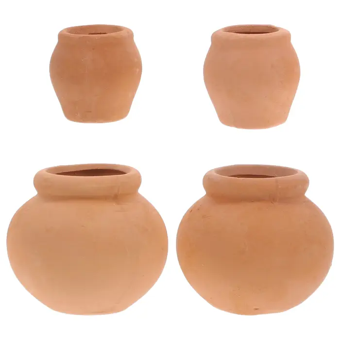 Pot de fleurs succulentes