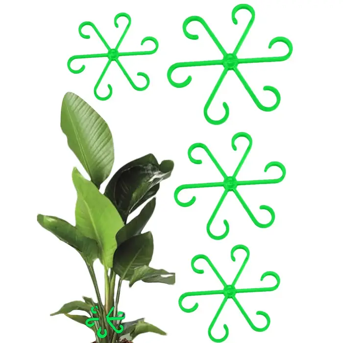 4 supports de tiges de plantes grimpantes