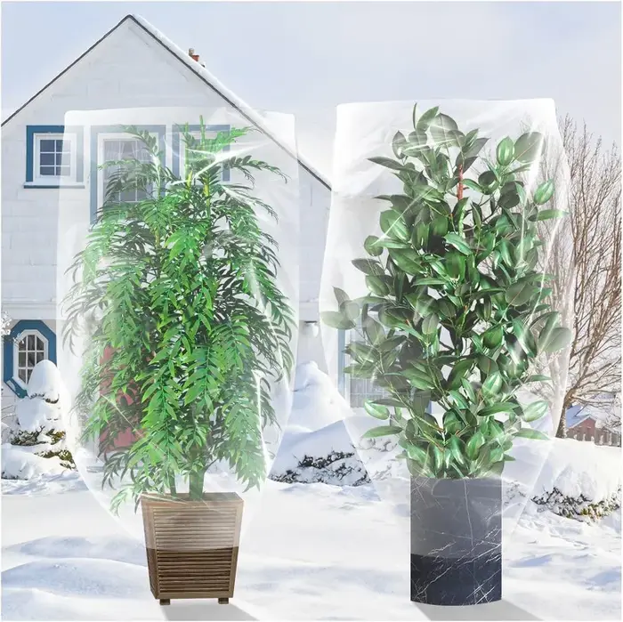 Couvertures de plantes d'hiver
