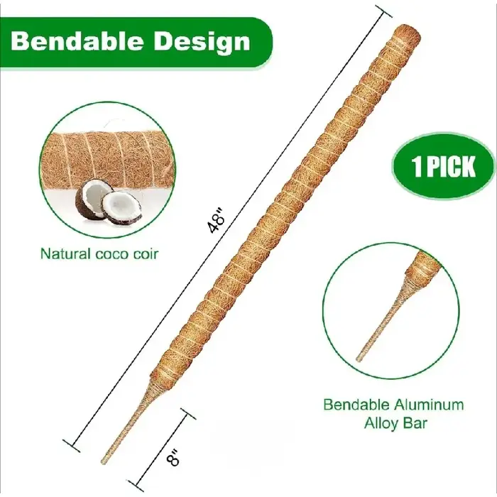 Support de grimpement pliable en mousse de coco de 30-100 cm pour plantes grimpantes d'intérieur