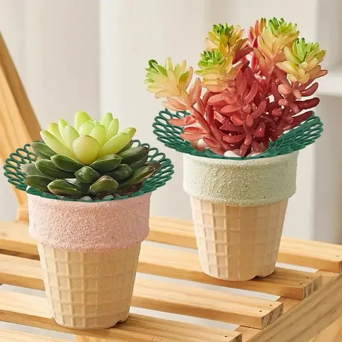 Support pour plantes à fraises