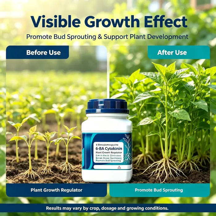 Poudre nutritive pour plantes ornementales, cytokinine pour fleurs en pot, fruits, légumes, stimule la croissance des bourgeons, culture à domicile et en jardin