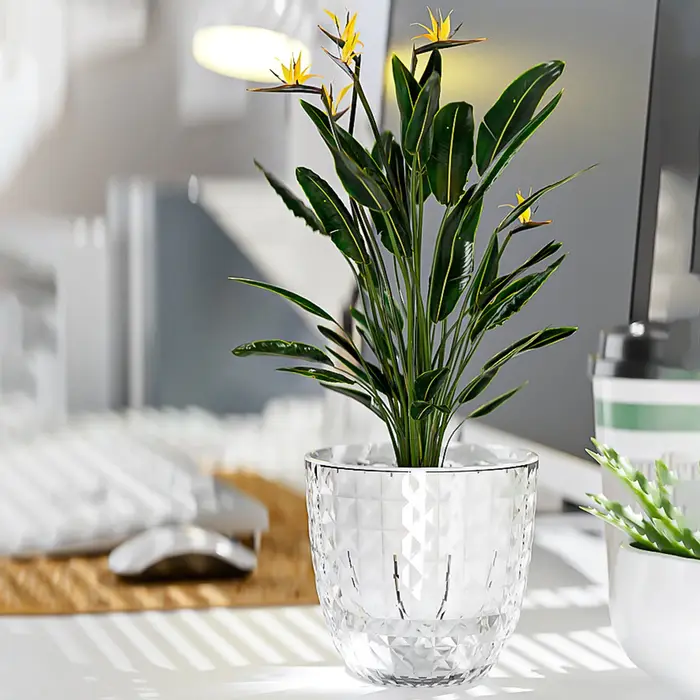 Vase à plantes hydroponiques avec corde en coton